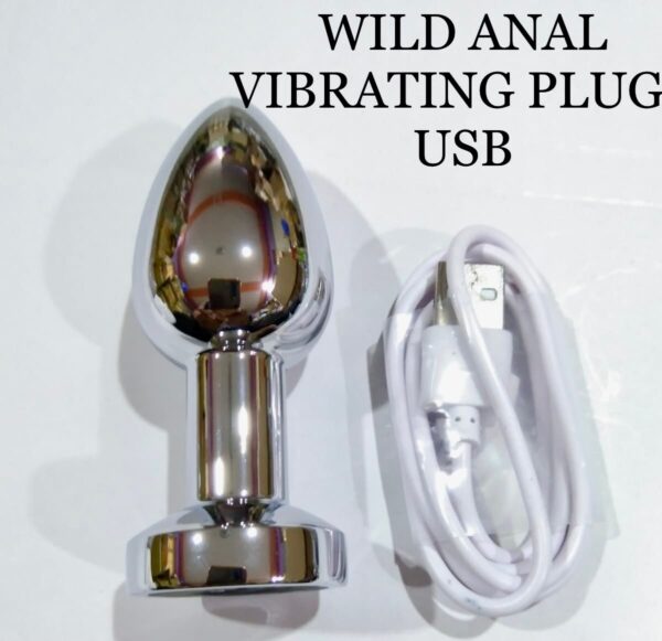 Wild USB Chargeable Vibrating Anal Steel Butt Plug