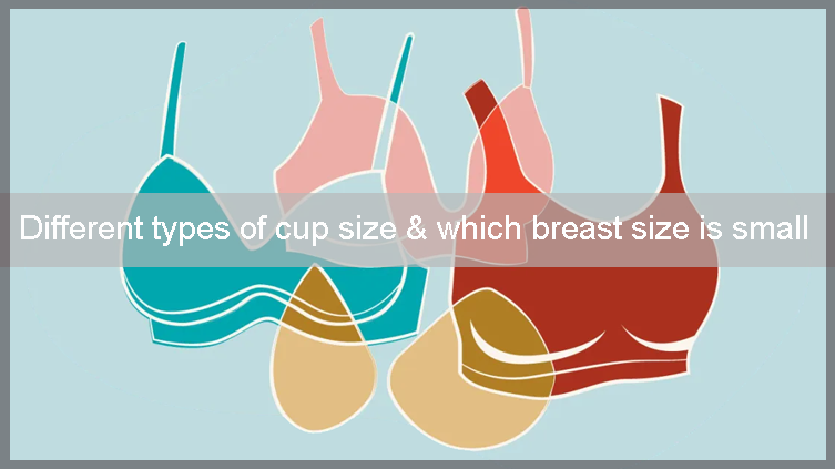 What is cup size? Different types of cup size and which breast
