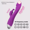 10 Speed Romeo Rabbit Vibrator