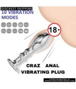 CRAZ Unisex Stainless Steel Anal Plug - Image 2
