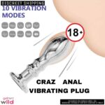 CRAZ Unisex Stainless Steel Anal Plug