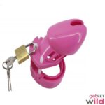 Cock Cage Chastity