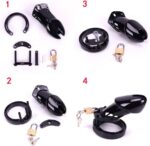 Cock Cage Penis Chastity Lock for Cock - Image 4