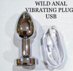 Wild USB Chargeable Vibrating Anal Steel Butt Plug - Image 6