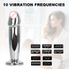 DICKZ Anal Vibrating Stainless Steel Butt Plug With USB