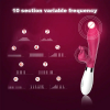 Double Shock G Spot Rabbit Vibrator