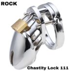 Chastity Cage Stainless Steel 111