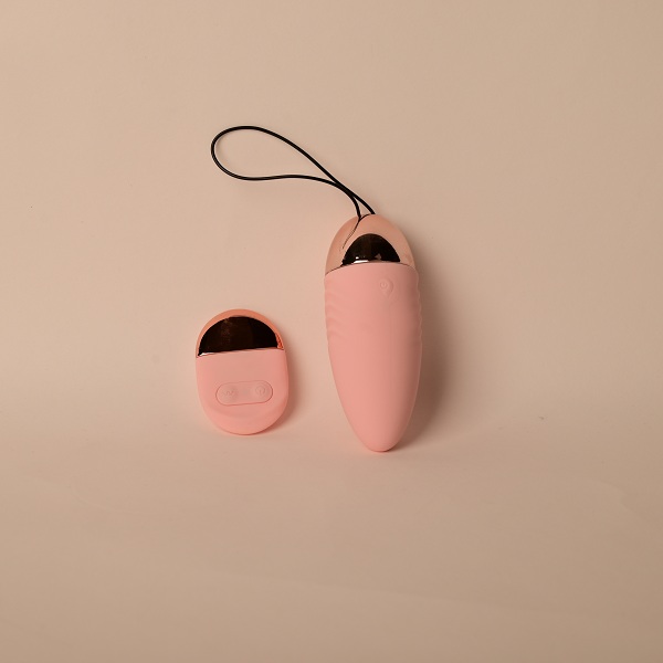 Lilo Remote Control 10 Speed Egg Vibrator (4) Lilo Remote Control 10 Speed Egg Vibrator