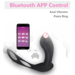 Posterior Anal Plug With Massager