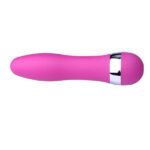 SONA-G-Spot-Plain-N-Smooth-Mini-Vibrator-For-Women