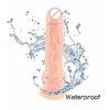 Young Boy 6 Inch Dildo With Suction Cup