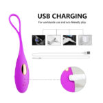 NEMO Egg Wireless Remote Controlled Vibrator - Image 2
