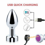 Wild USB Chargeable Vibrating Anal Steel Butt Plug - Image 3