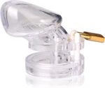Transparent Penis Chastity Cage Lock - Image 4