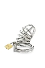 Metal Penis Annulus Cock Cage Stainless Steel Chastity Device For Men - Image 6