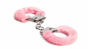 Furry Handcraft