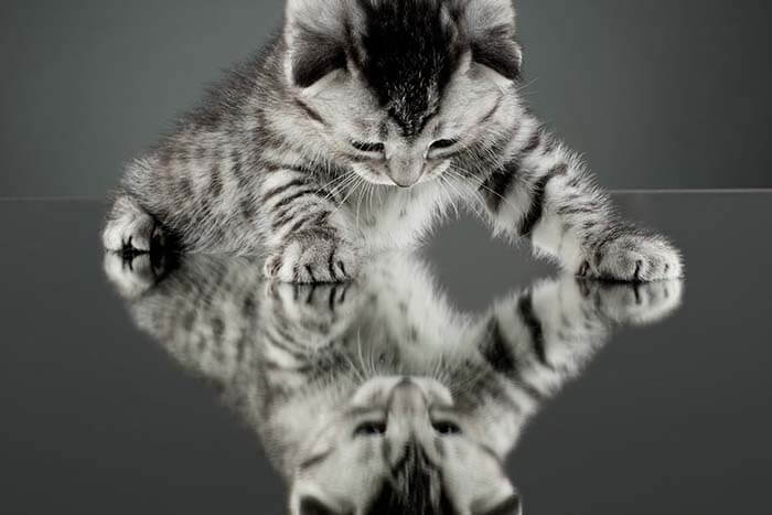 FLIRTING TIPS: 7 TIPS TO GET HIM TO WANT YOU