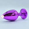 Stain Steel Butt Plug With Purple Color Stone