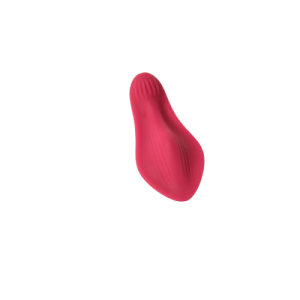 Wearable Intimate Silicone Smart App Control Butterfly USB Vibrator