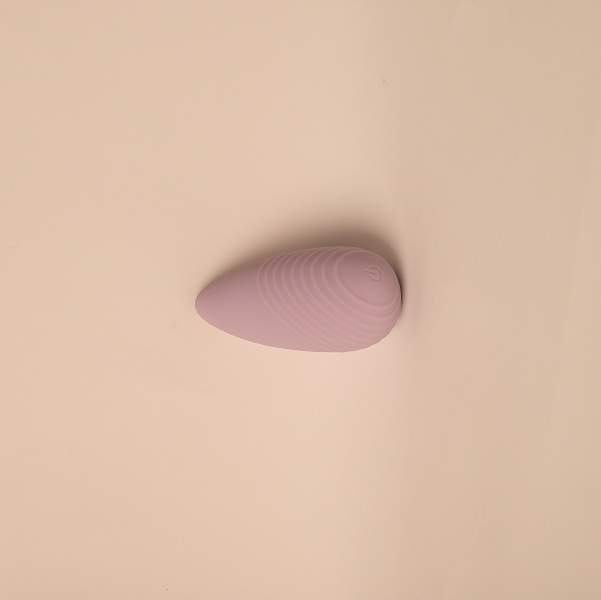 10 Speed Apple Shape Wearable Panty Vibrator For Women