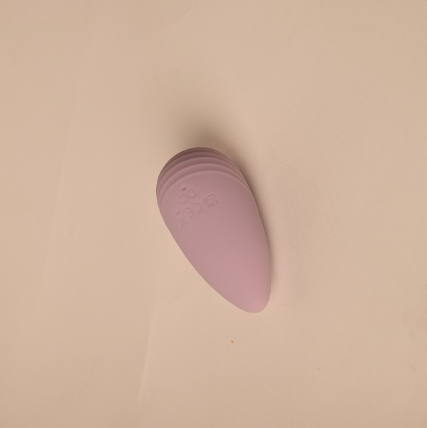 10 Speed Apple Shape Wearable Panty Vibrator For Women