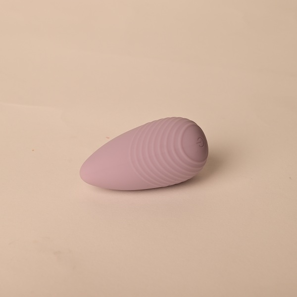 10 Speed Apple Shape Wearable Panty Vibrator For Women